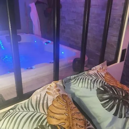 Superbe Avec Jacuzzi Et Exterieur *